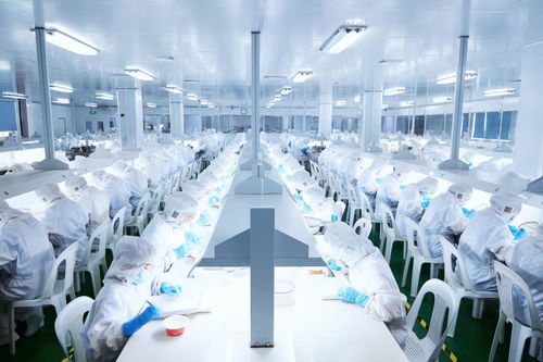 抓住消费新浪潮 燕之屋董事长黄健荣获2020中国新消费年度关注人物奖